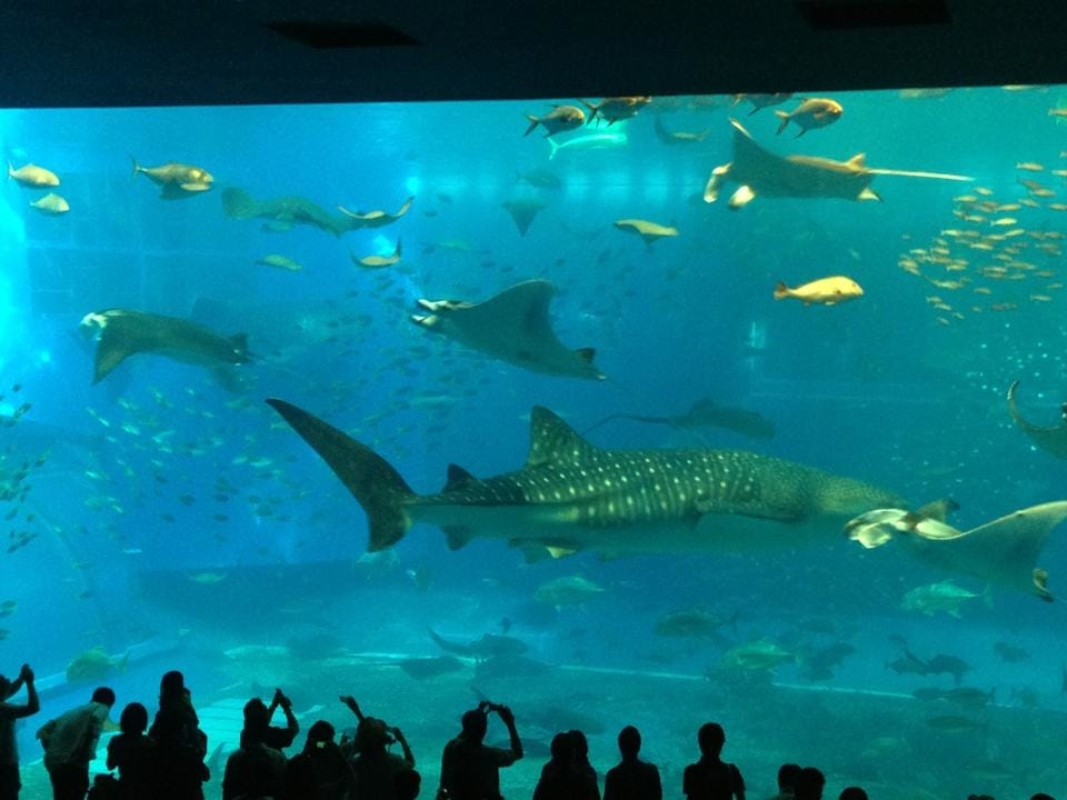 432073_10201095174890872_232581718.jpg
