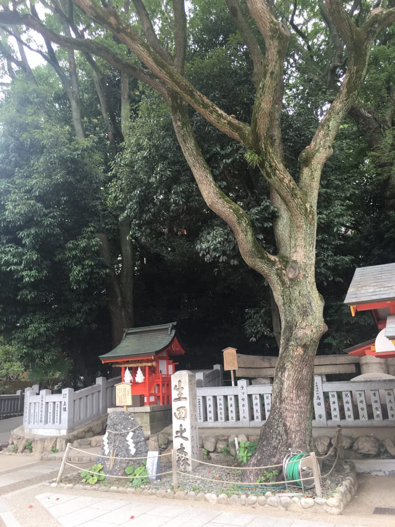 (日本-神戶)「水占靈籤」千年戀愛結緣神社-生田神社