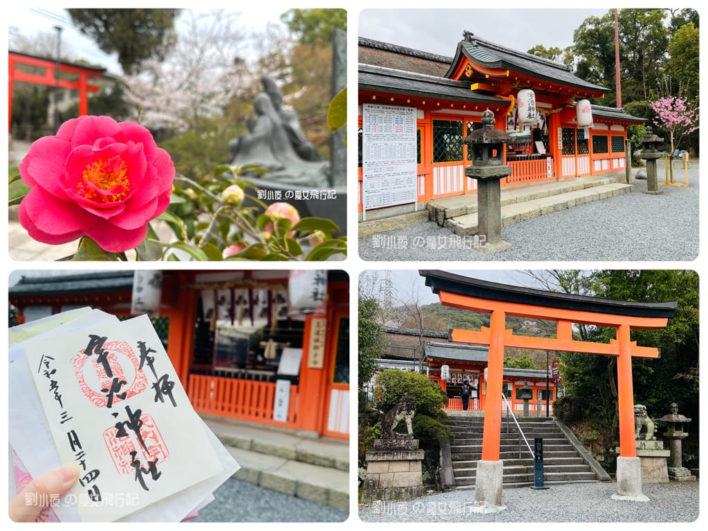 (日本-宇治)京都必遊散策『宇治一日遊』聞茶香賞白櫻吃美食。