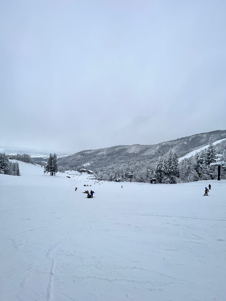 啊(日本-長野)日本滑雪初體驗初學者滑雪景點推薦。滑雪&溫 啊(日本-長野)日本滑雪初體驗初學者滑雪景點推薦。滑雪&溫