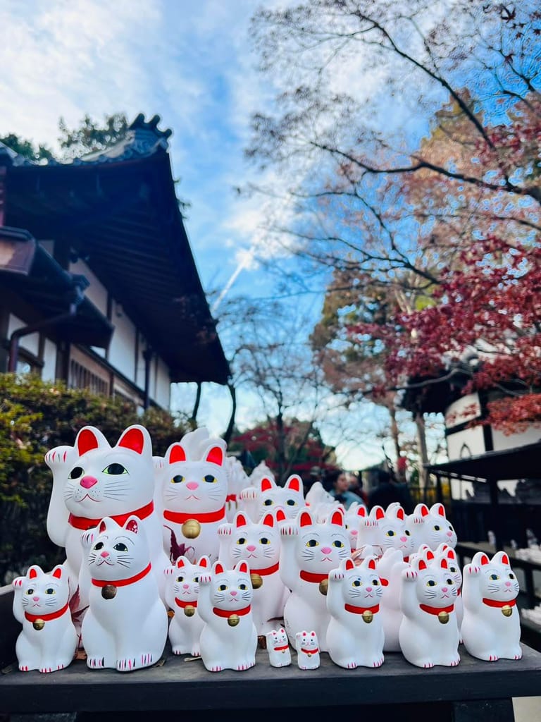 (日本-東京)東京人氣景點推薦隱藏於世的招財貓發源地-豪德 (日本-東京)東京人氣景點推薦隱藏於世的招財貓發源地-豪德