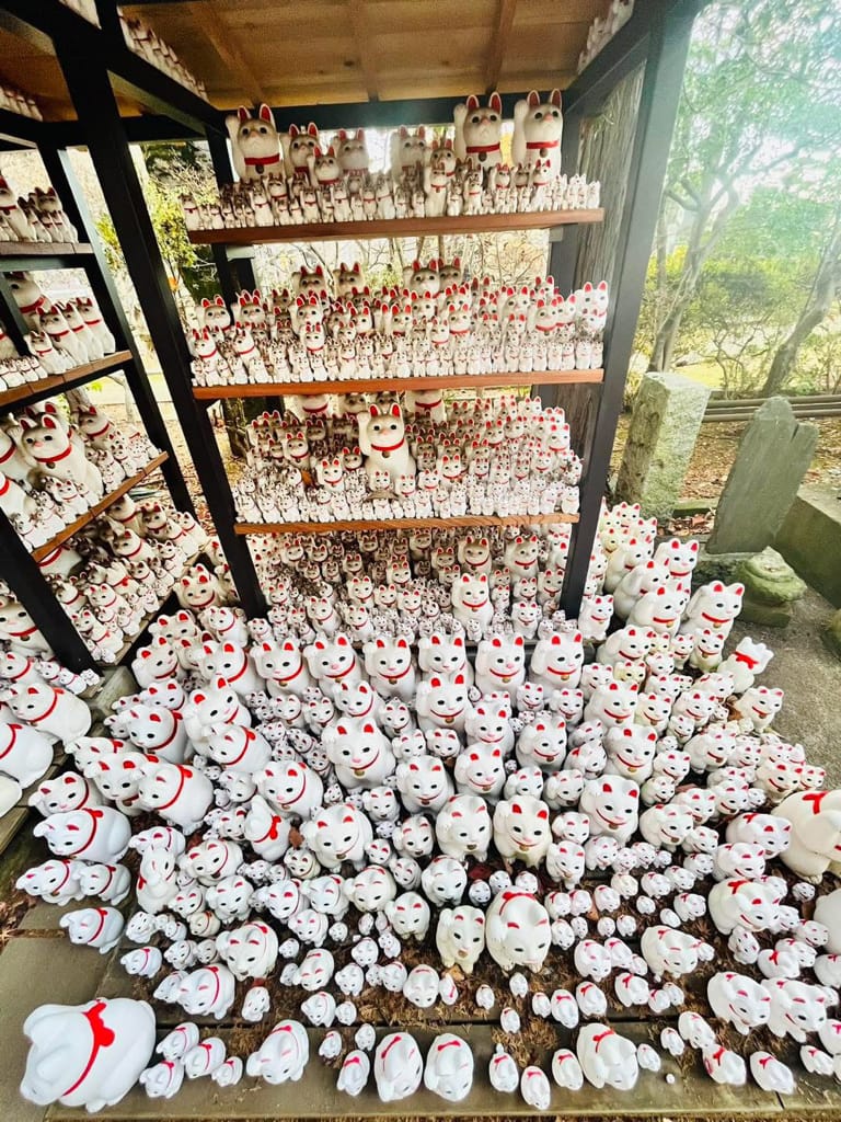 (日本-東京)東京人氣景點推薦隱藏於世的招財貓發源地-豪德 (日本-東京)東京人氣景點推薦隱藏於世的招財貓發源地-豪德