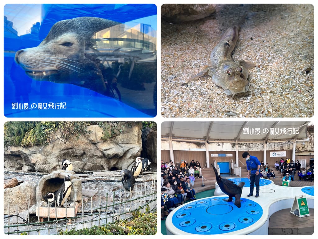 (日本-東京)親子必遊東京景點『池袋陽光水族館(Sunshi (日本-東京)親子必遊東京景點『池袋陽光水族館(Sunshi