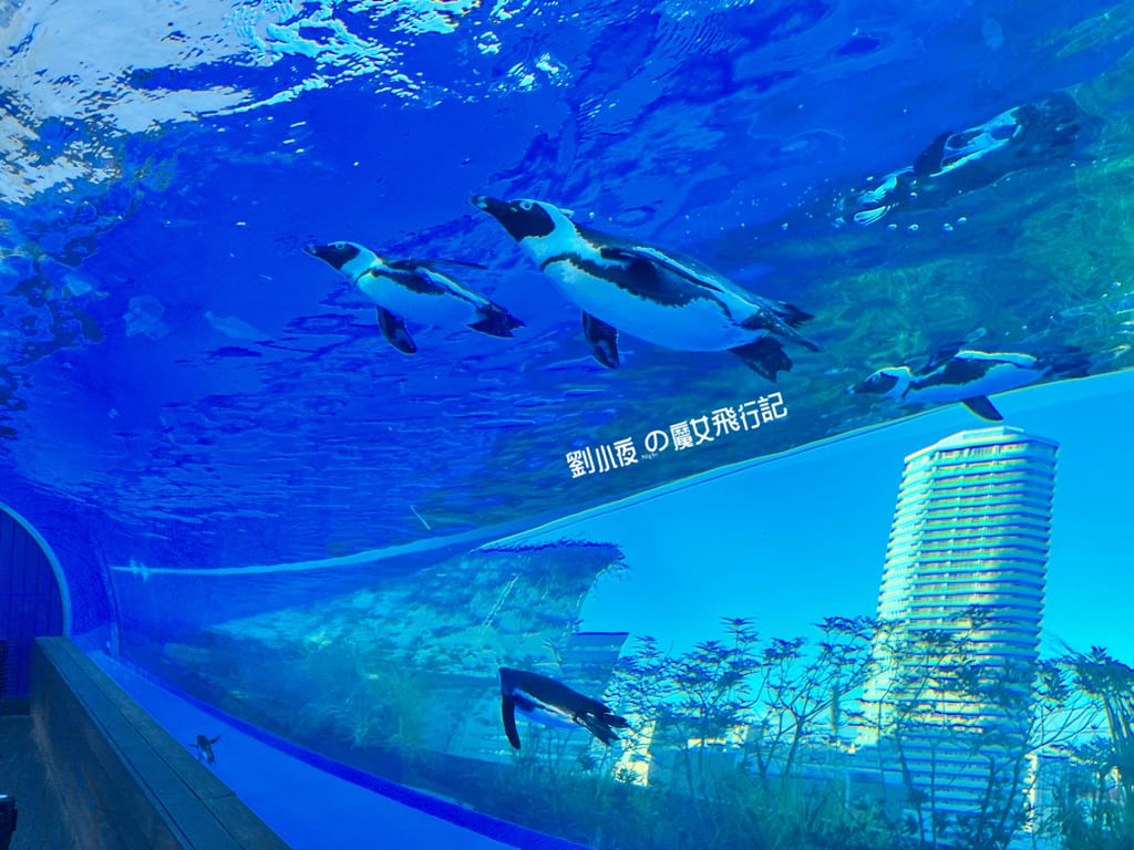 (日本-東京)親子必遊東京景點『池袋陽光水族館(Sunshi (日本-東京)親子必遊東京景點『池袋陽光水族館(Sunshi