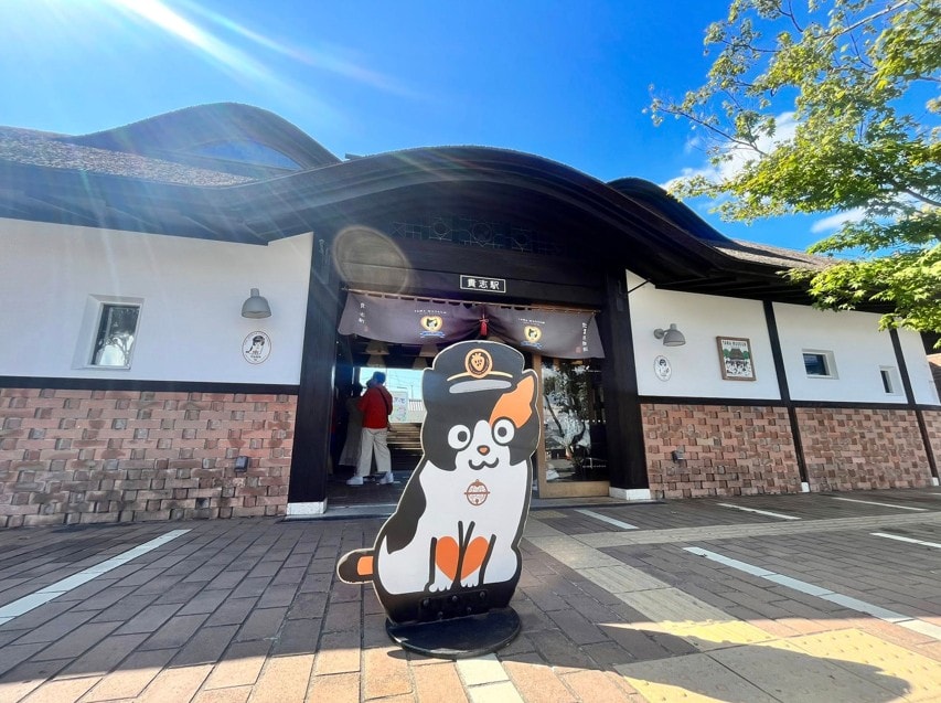 (日本-和歌山)🐾再見了,我們的貴志貓站長「二代玉」|和歌山貴志車站的溫柔守護者 - 第5張圖 (日本-和歌山)🐾再見了,我們的貴志貓站長「二代玉」|和歌山貴志車站的溫柔守護者