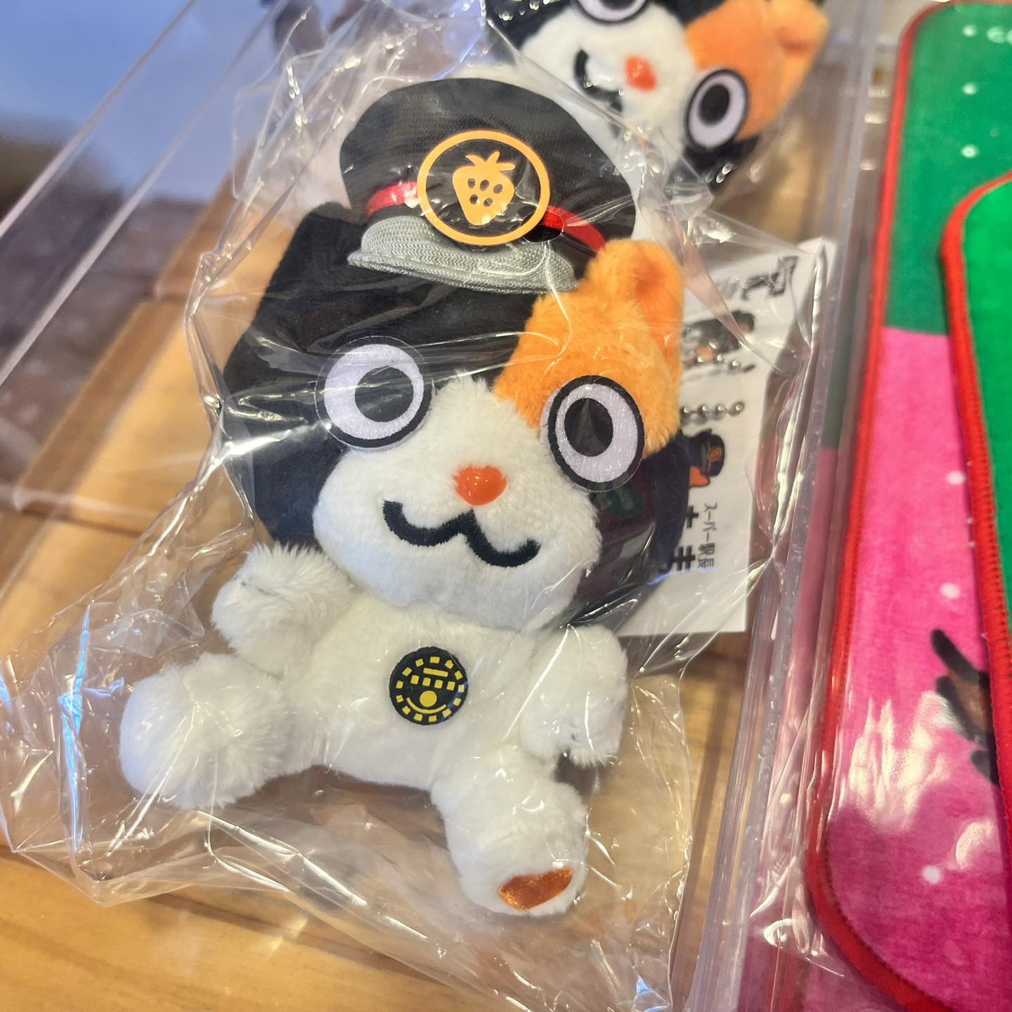 (日本-和歌山)🐾再見了,我們的貴志貓站長「二代玉」|和歌山貴志車站的溫柔守護者 - 第2張圖 (日本-和歌山)🐾再見了,我們的貴志貓站長「二代玉」|和歌山貴志車站的溫柔守護者
