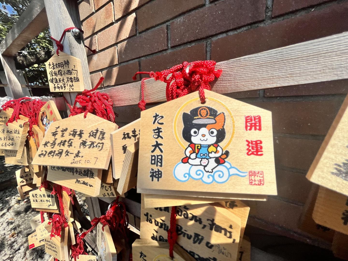 (日本-和歌山)🐾再見了,我們的貴志貓站長「二代玉」|和歌山貴志車站的溫柔守護者 - 第4張圖 (日本-和歌山)🐾再見了,我們的貴志貓站長「二代玉」|和歌山貴志車站的溫柔守護者