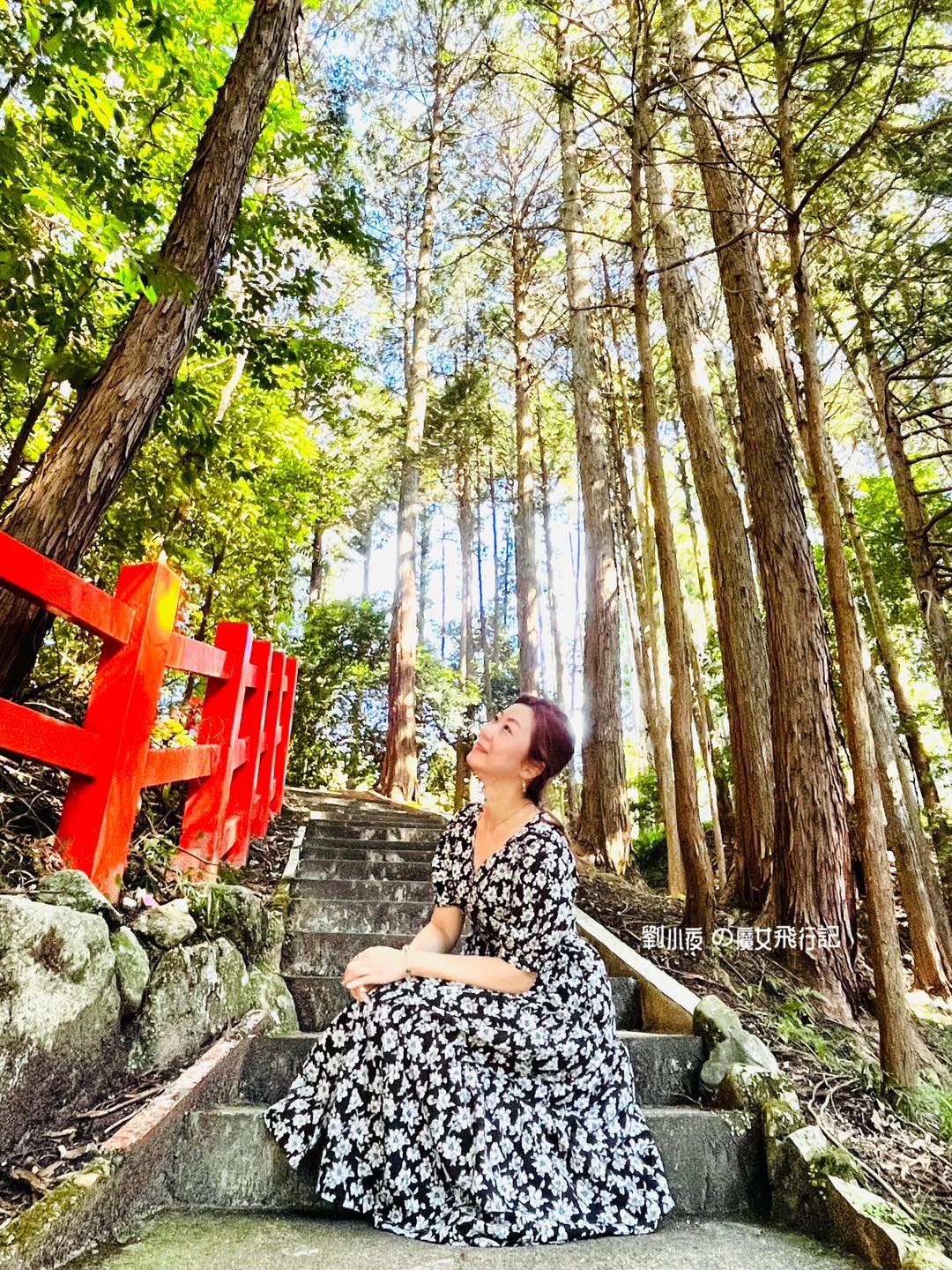(日本-京都)【2026京都私房景點】別再去清水寺人擠人！一條從早到晚的左京區靜謐散策路線：八大神社、詩仙堂、圓光寺、惠文社