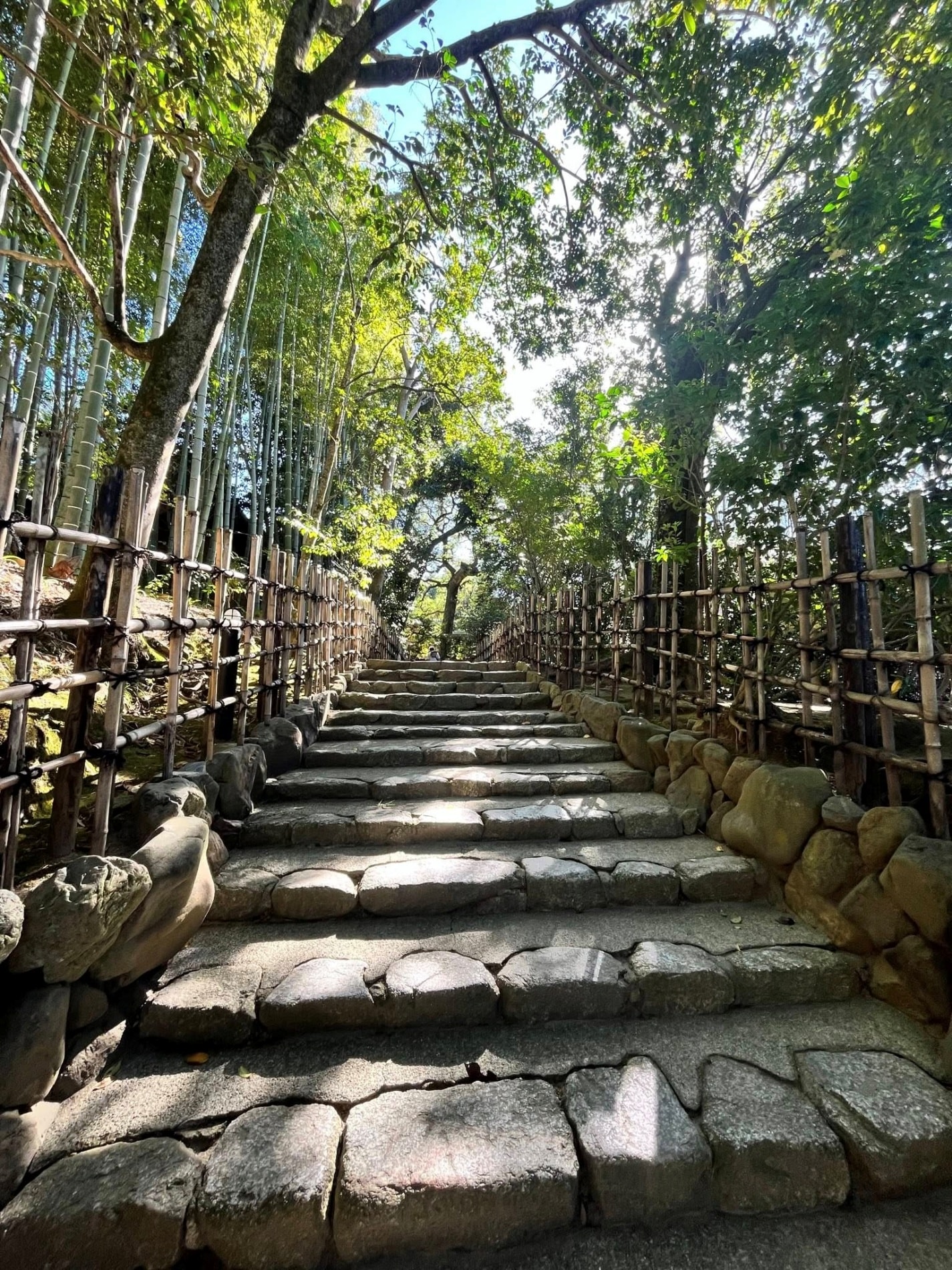 (日本-京都)【2026京都私房景點】別再去清水寺人擠人！一條從早到晚的左京區靜謐散策路線：八大神社、詩仙堂、圓光寺、惠文社