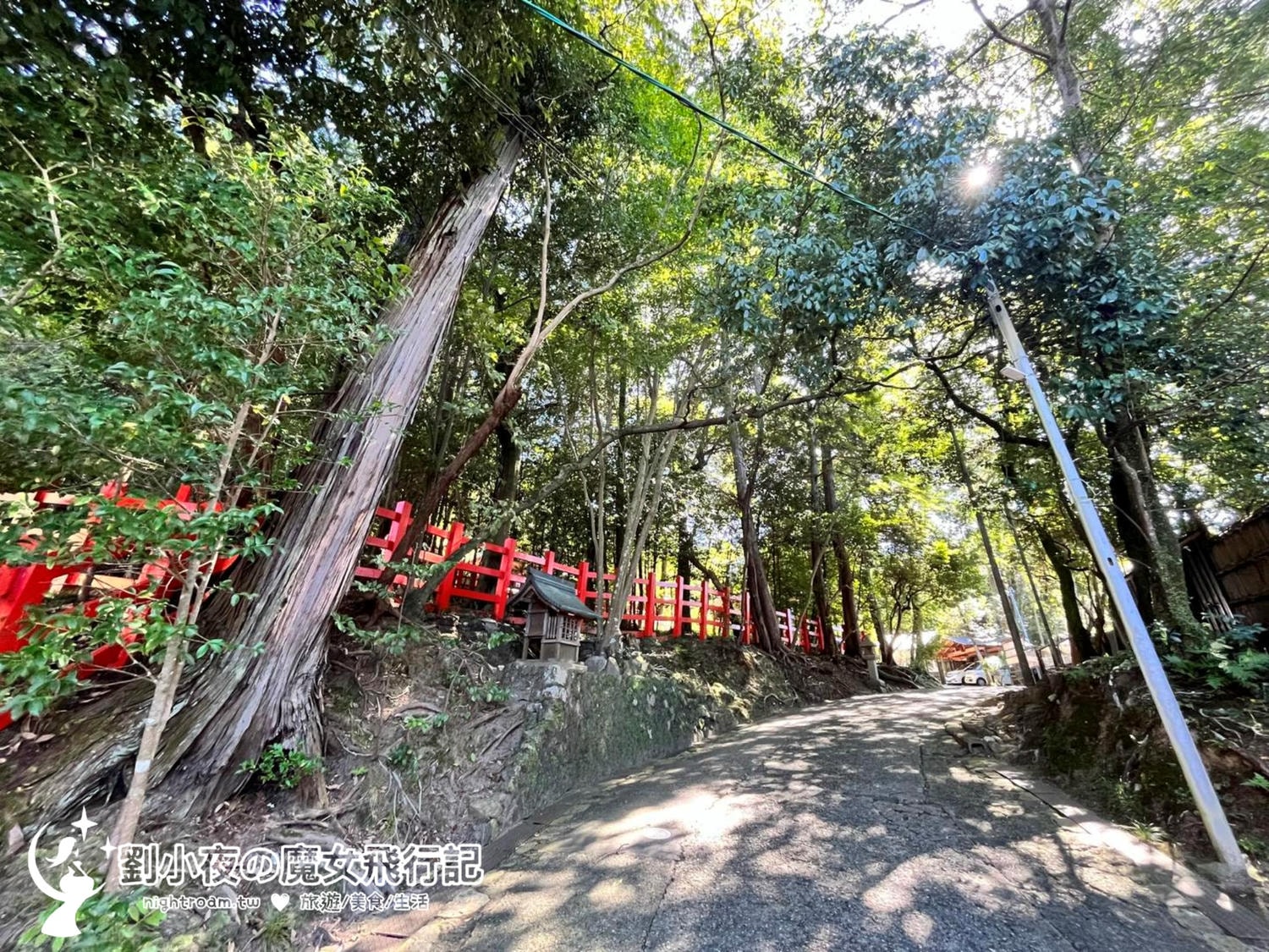 (日本-京都)【2026京都私房景點】別再去清水寺人擠人！一條從早到晚的左京區靜謐散策路線：八大神社、詩仙堂、圓光寺、惠文社