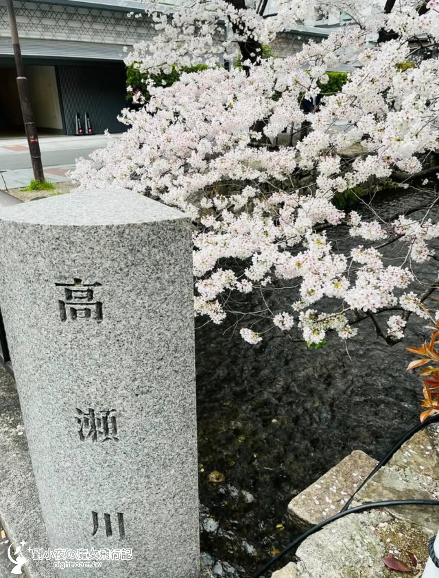 （日本-京都）2026京都賞櫻秘境景點｜一次收入三個櫻花景點，長德寺、京都御苑、天下第一靈光殿天滿宮，隱藏版祇園白川京都下午茶