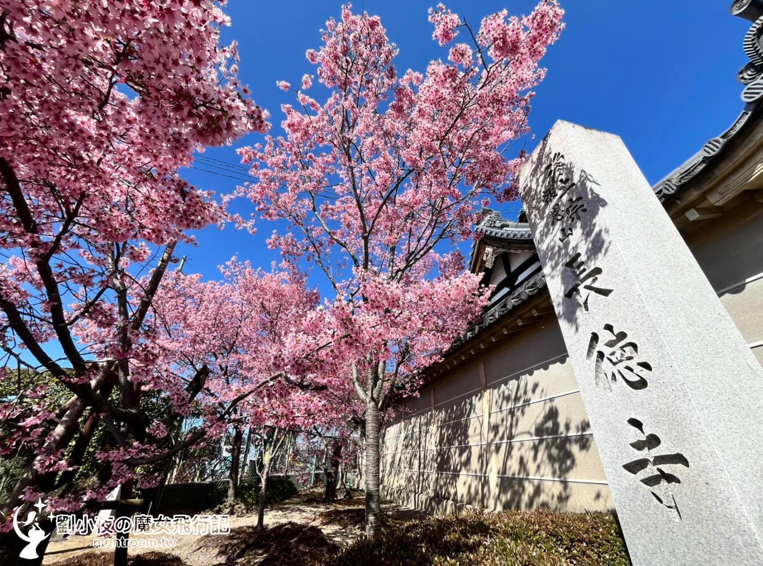 （日本-京都）2026京都賞櫻秘境景點｜一次收入三個櫻花景點，長德寺、京都御苑、天下第一靈光殿天滿宮，隱藏版祇園白川京都下午茶