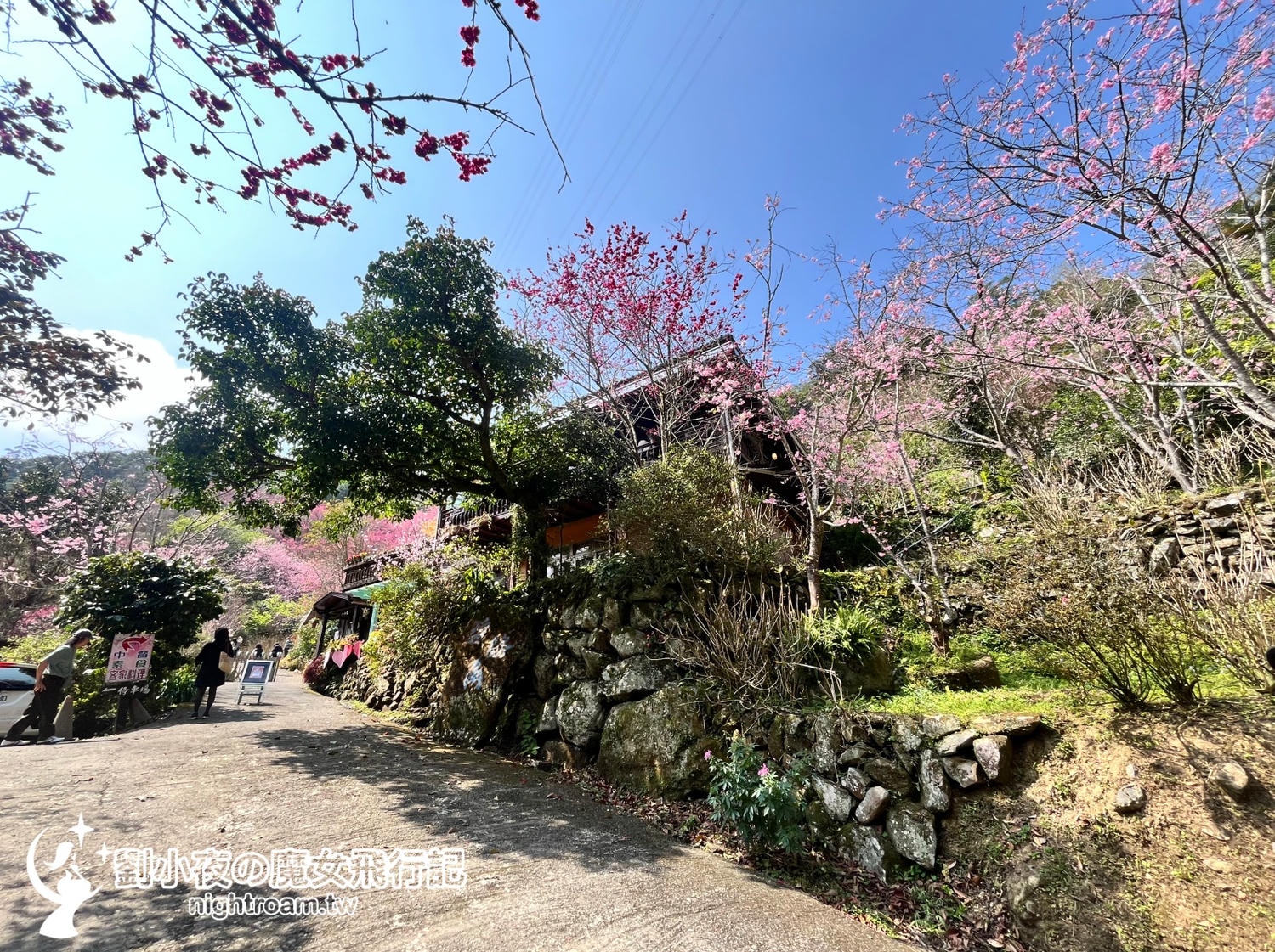 （台灣-苗栗）碧絡角 Biluojiao｜苗栗秘境景點，藏在深山裡的粉紅瀑布，滿山櫻花綻放的療癒時光，四季賞花賞櫻不能錯過！