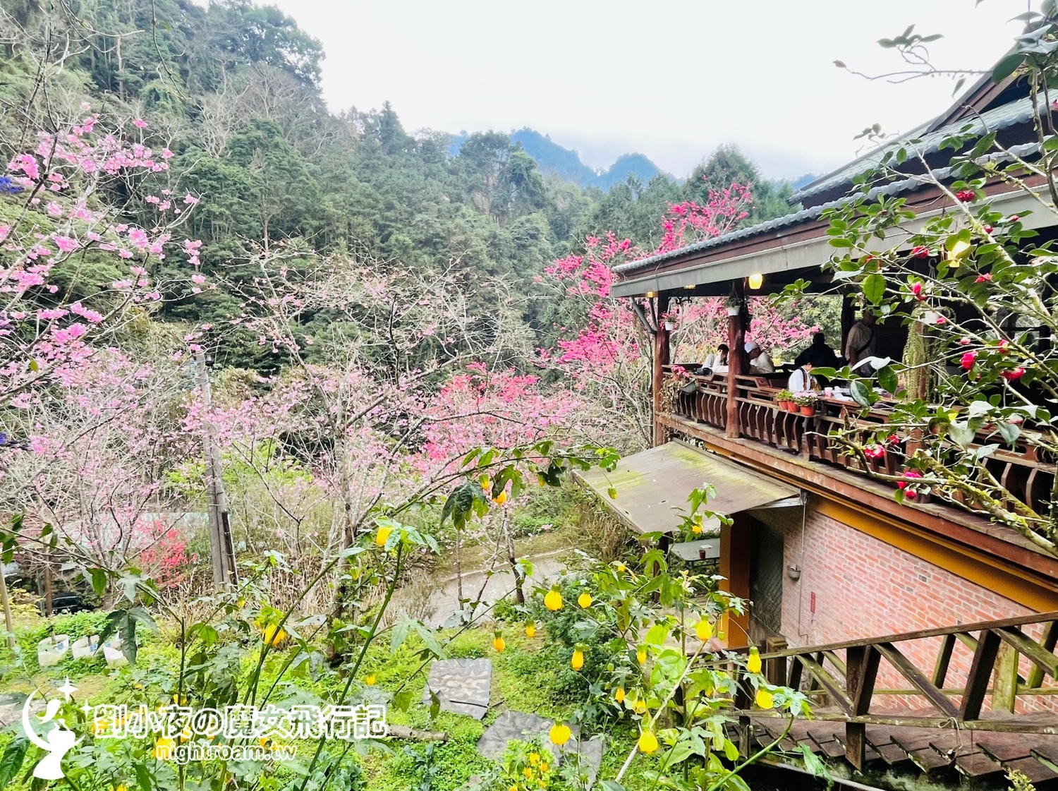 （台灣-苗栗）碧絡角 Biluojiao｜苗栗秘境景點，藏在深山裡的粉紅瀑布，滿山櫻花綻放的療癒時光，四季賞花賞櫻不能錯過！