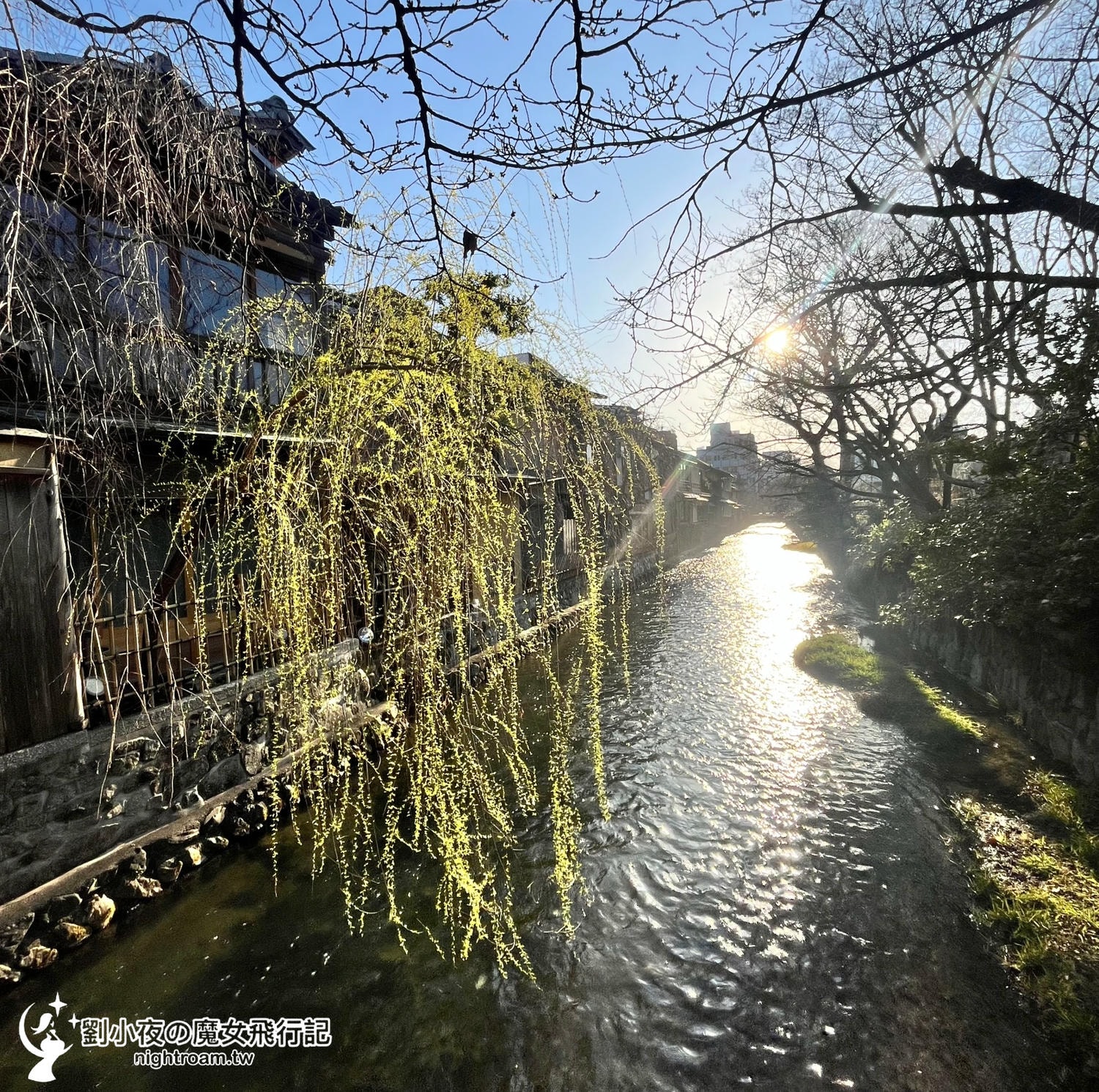 （日本-京都）2026京都賞櫻秘境景點｜一次收入三個櫻花景點，長德寺、京都御苑、天下第一靈光殿天滿宮，隱藏版祇園白川京都下午茶